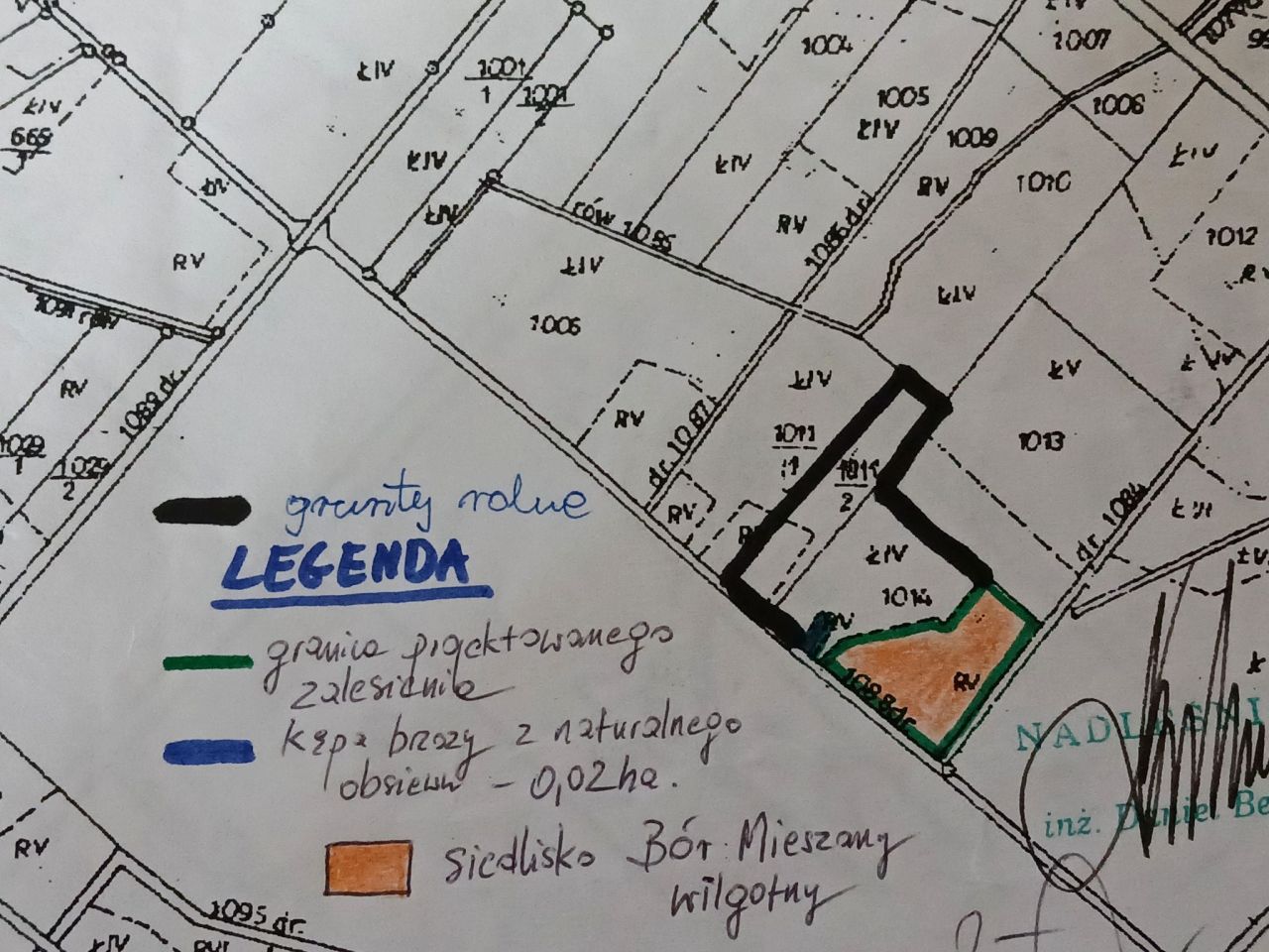 Działka leśna Bogaczów Krzewiny. Zdjęcie 3