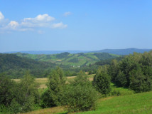 Działka siedliskowa Górzanka. Zdjęcie 4