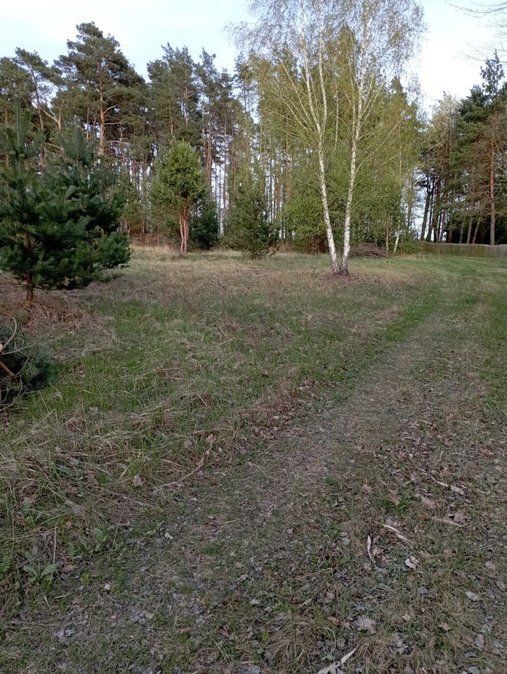 Działka Burlaki. Zdjęcie 5