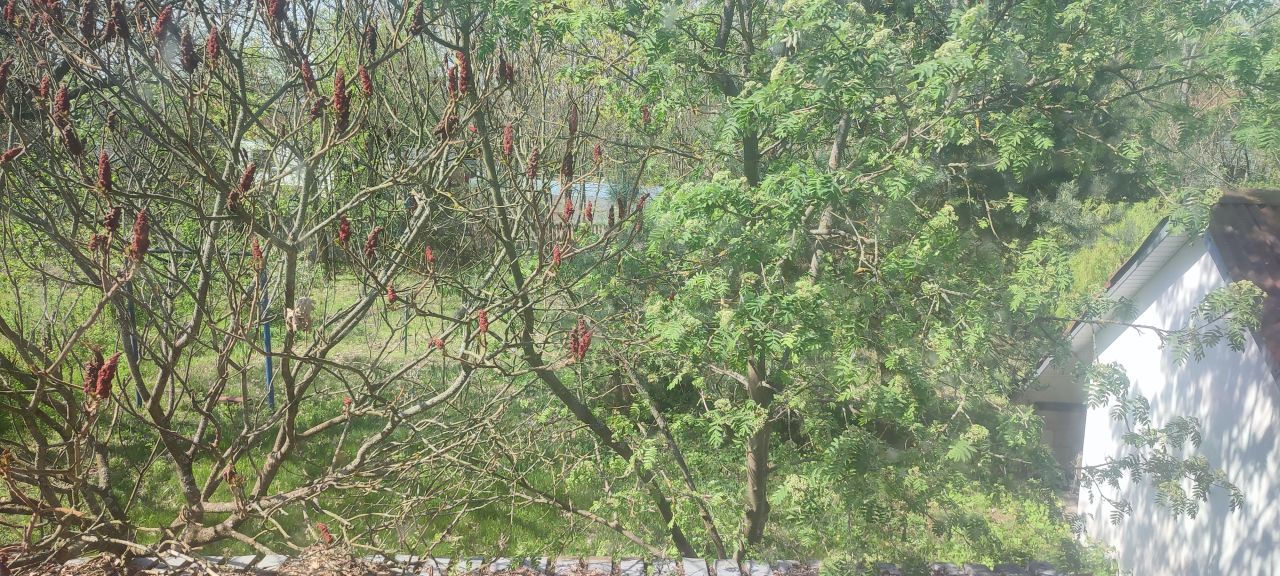 gospodarstwo, 3 pokoje Wólka Lipowa. Zdjęcie 42