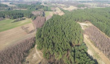 Działka leśna Nowa Wieś-Śladów