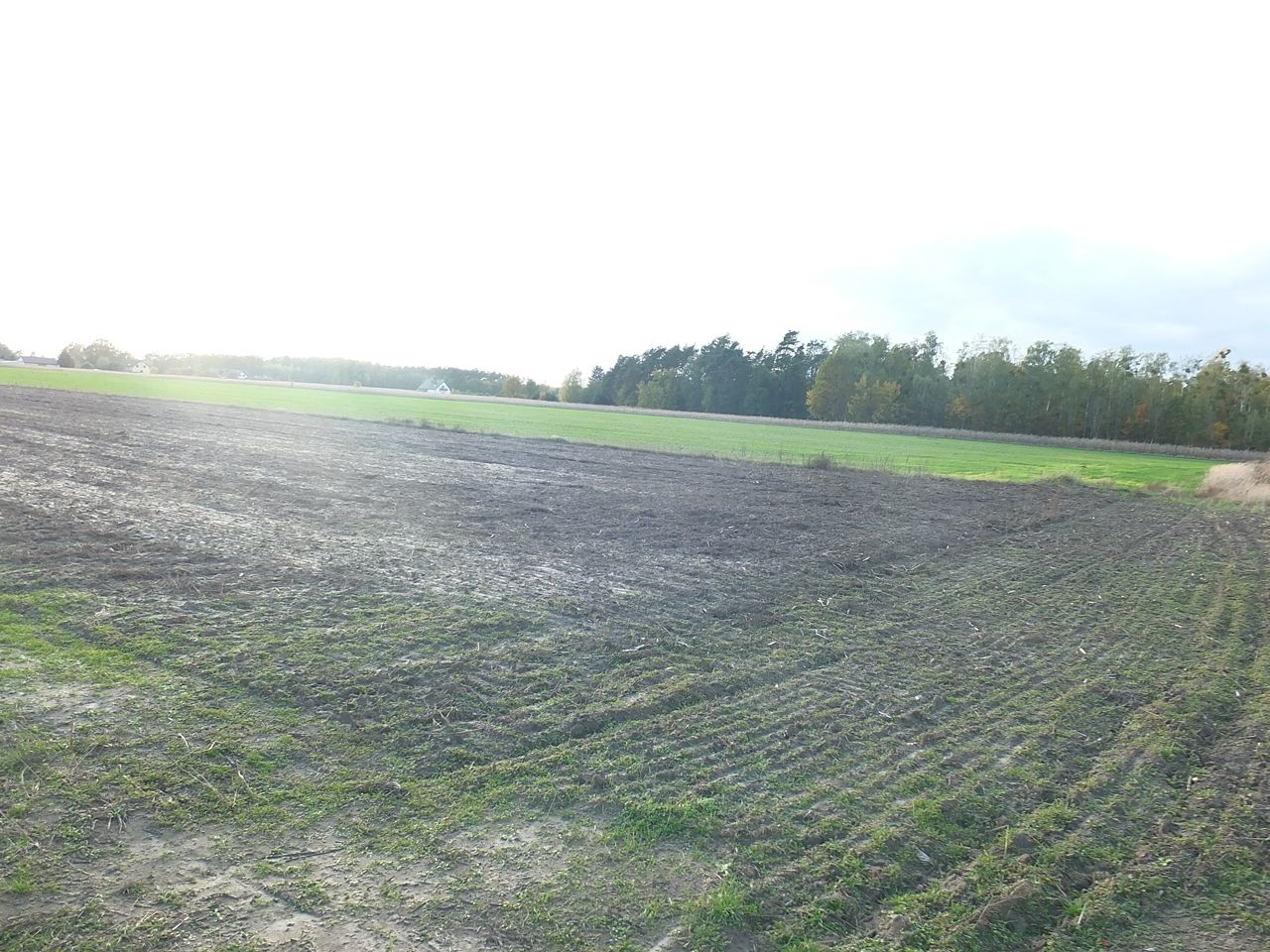 Działka budowlana Janów Ruszki. Zdjęcie 3