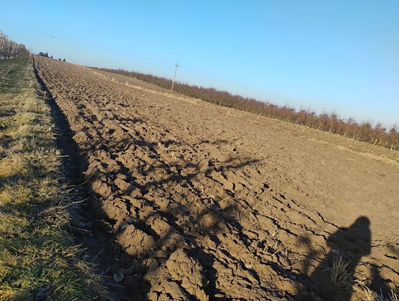 Działka rolna Ruszcza-Płaszczyzna, Ruszcza Płaszczyzna. Zdjęcie 4
