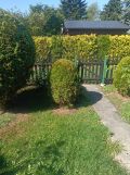 Działka rod Rzeszów. Zdjęcie 2