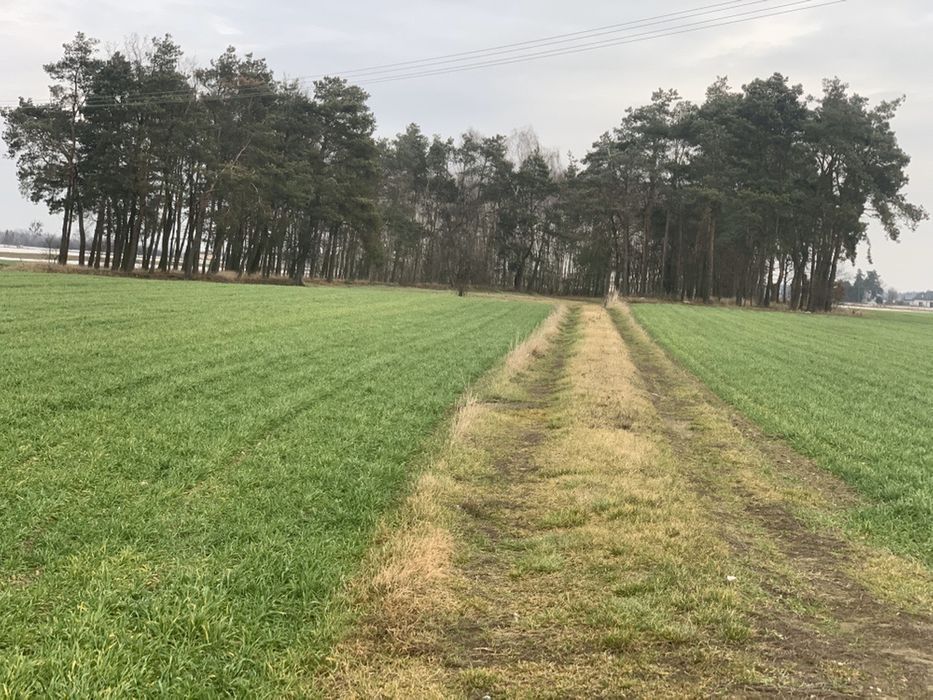 Działka rolno-budowlana Karnkowo. Zdjęcie 5
