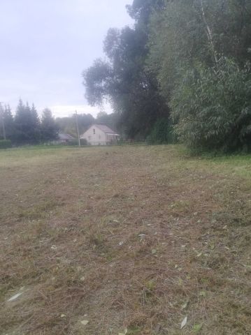 Działka rolno-budowlana Dąbrowa. Zdjęcie 1