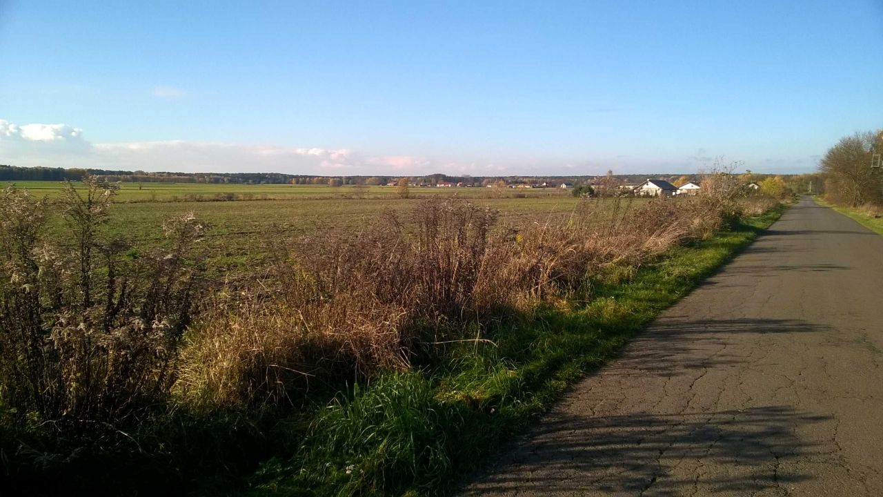 Działka budowlana Dzierżązna. Zdjęcie 4