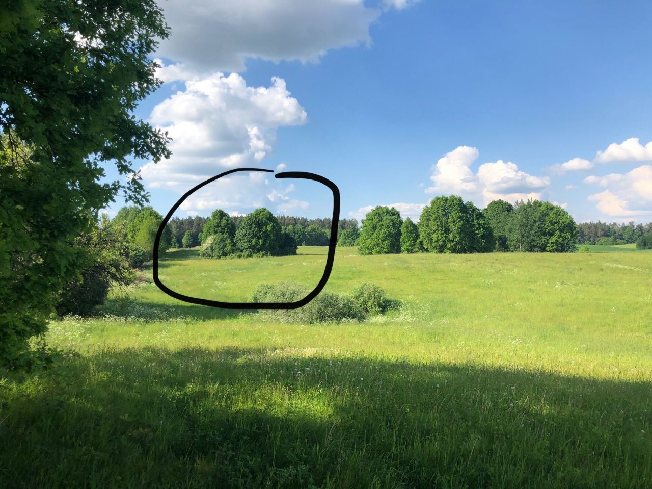 Działka rolno-budowlana Ględy. Zdjęcie 4