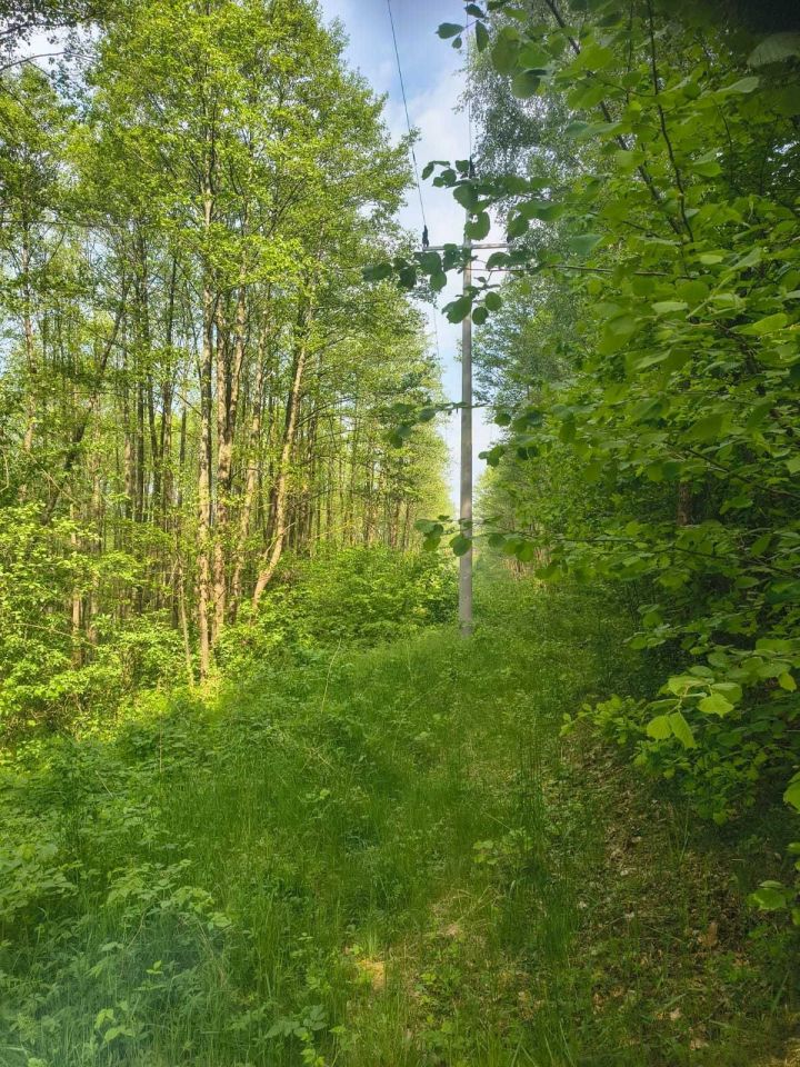 Działka siedliskowa Zabrodzie. Zdjęcie 7