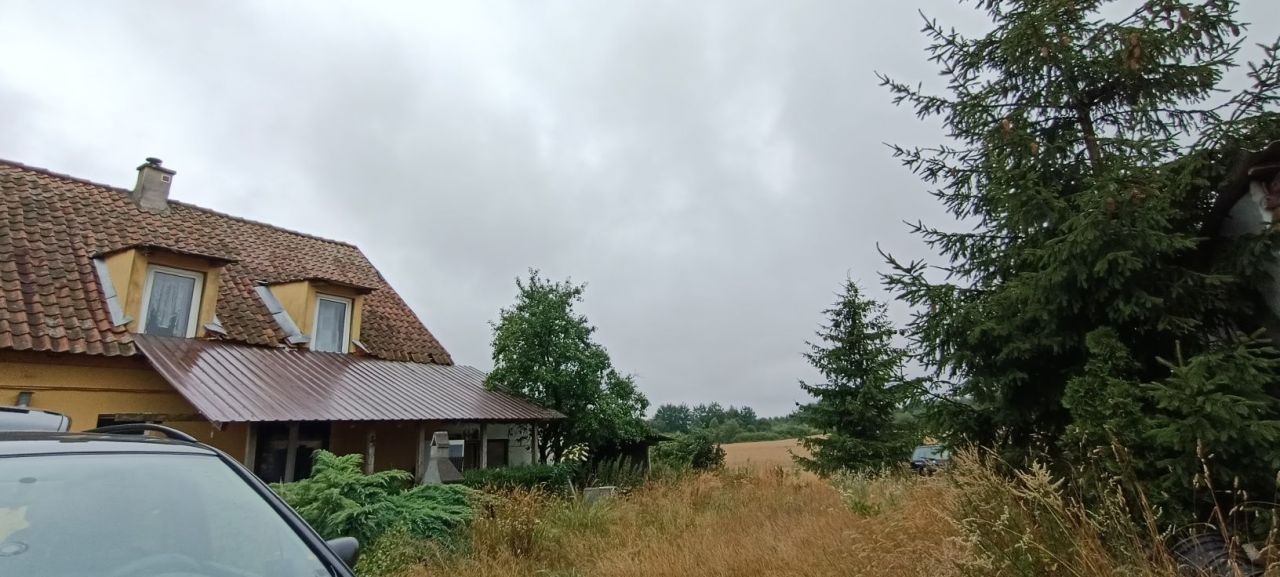 siedlisko Elgnowo. Zdjęcie 2