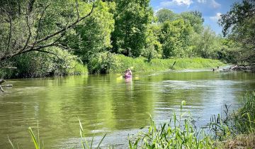 dom wolnostojący, 4 pokoje Kijany Kijany Kościelne