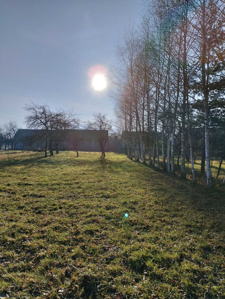 Działka siedliskowa Żelazowice. Zdjęcie 5