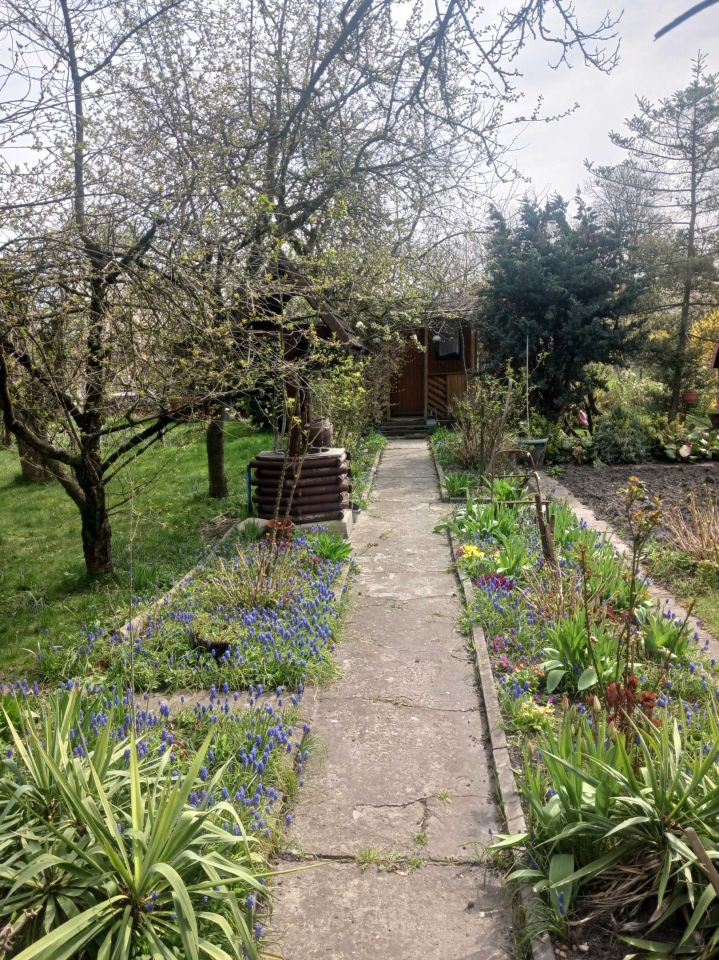 Działka rod Gliwice Szobiszowice. Zdjęcie 5