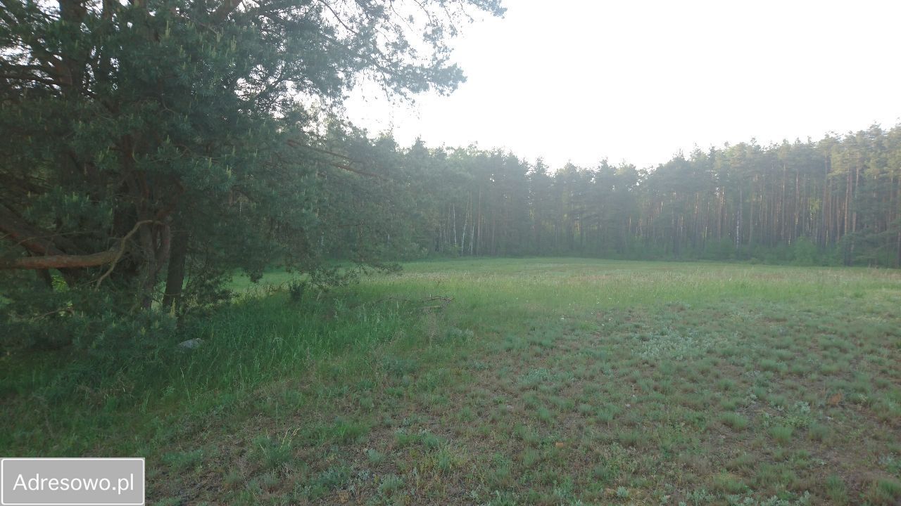 Działka budowlana Wiele, ul. Hieronima Derdowskiego. Zdjęcie 12