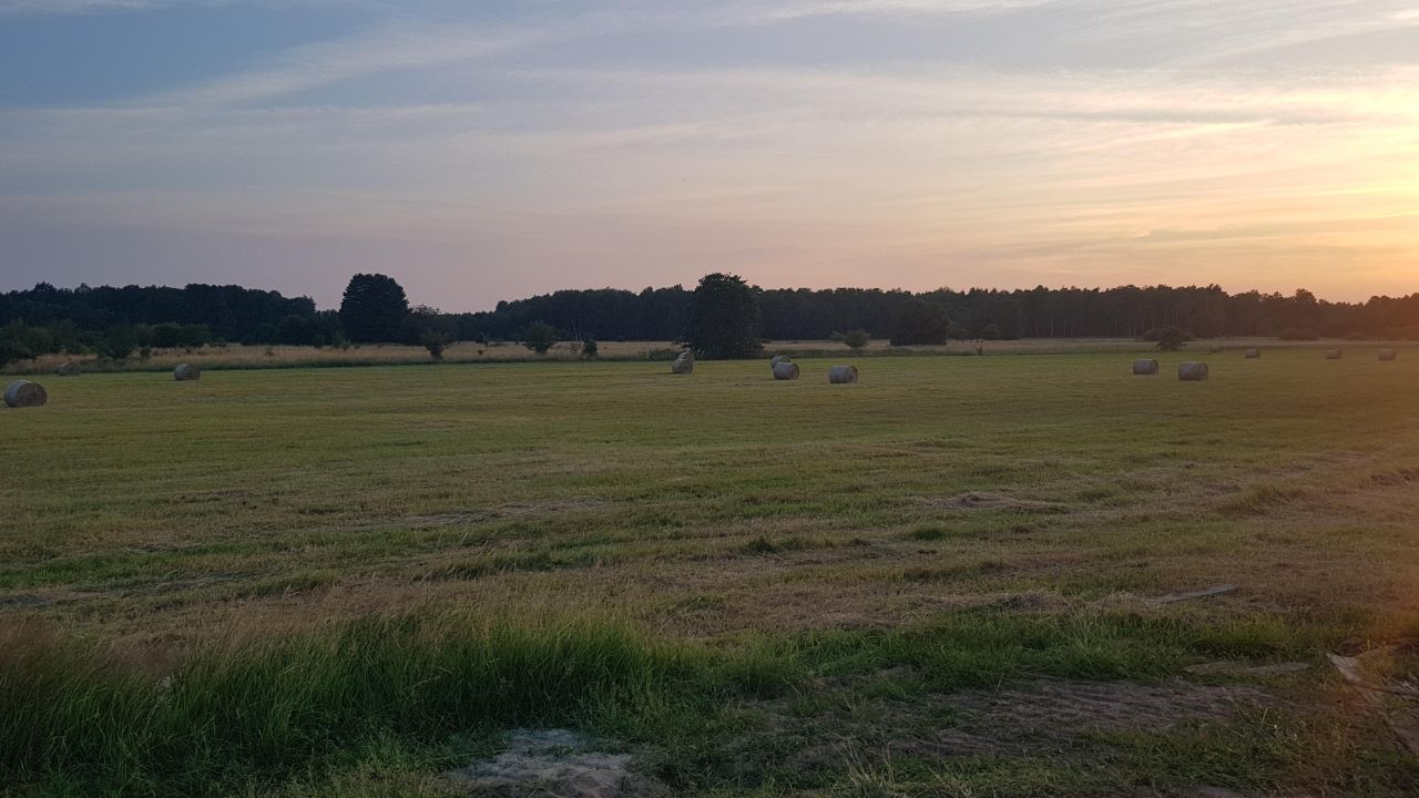 Działka budowlana Sarbsk, ul. Morska. Zdjęcie 3