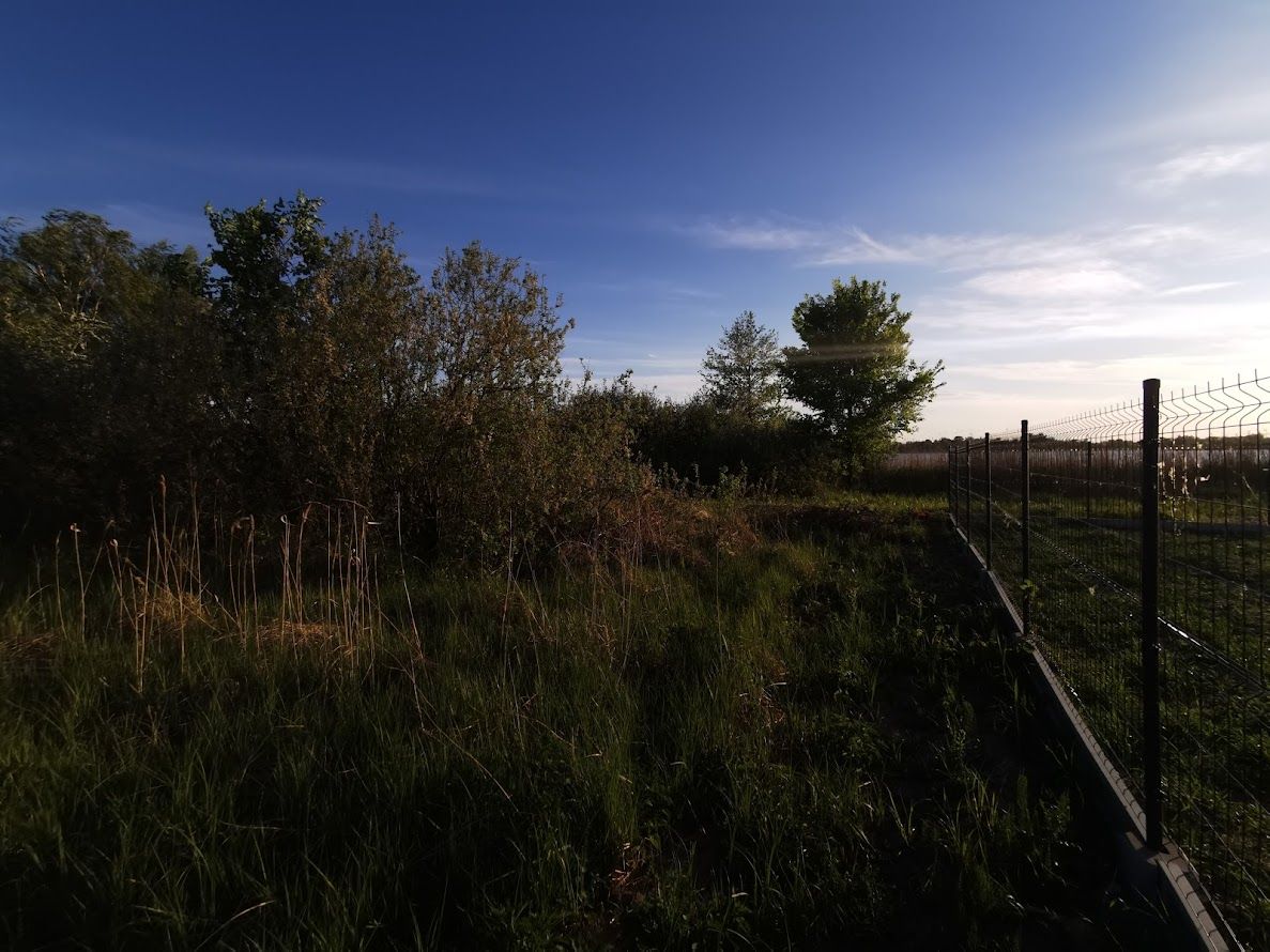 Działka budowlana Rogowo, ul. Topolowa. Zdjęcie 11