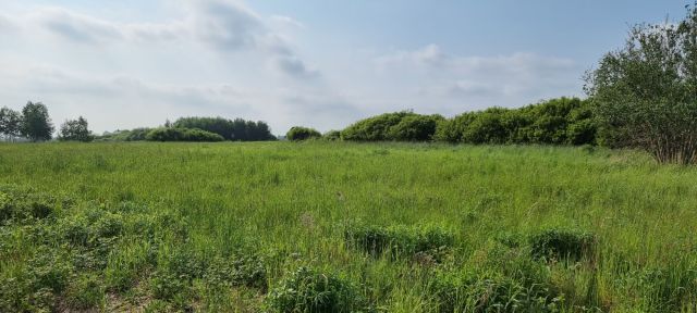 Działka budowlana Domaszowice. Zdjęcie 1