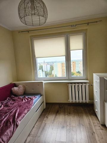 Mieszkanie 2-pokojowe Sosnowiec Sielec, ul. Gabriela Narutowicza. Zdjęcie 15