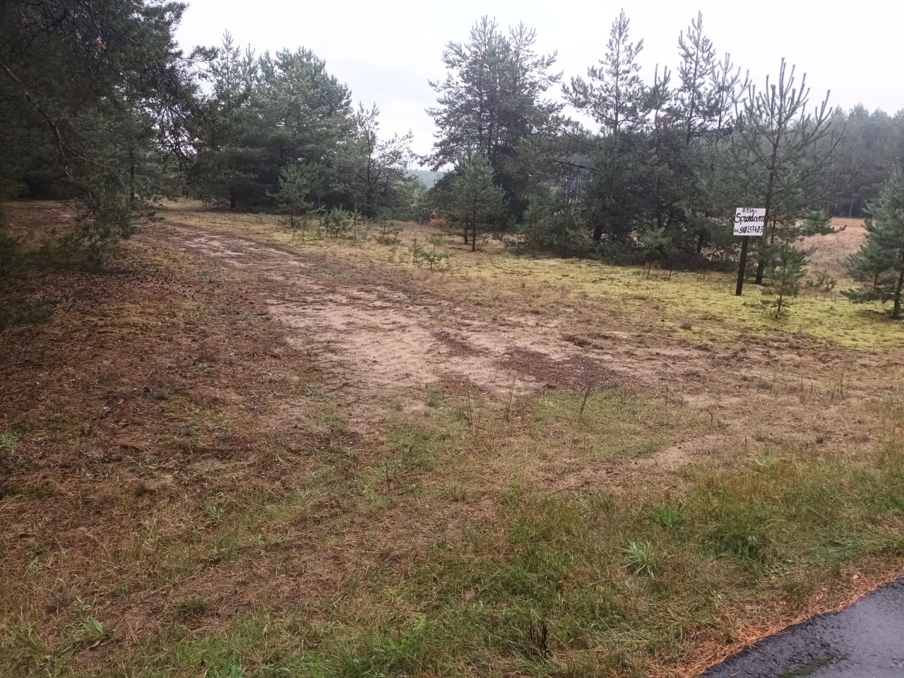 Działka rolno-budowlana Cisza. Zdjęcie 4