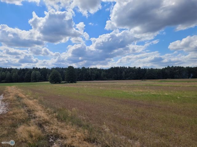 Działka rekreacyjna Kluczewsko. Zdjęcie 11