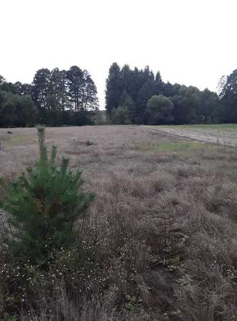 Działka rolno-budowlana Ostrówka. Zdjęcie 3