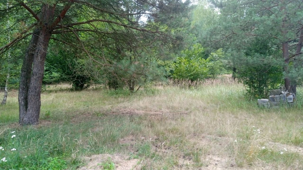 Działka budowlana Wąsosz. Zdjęcie 1