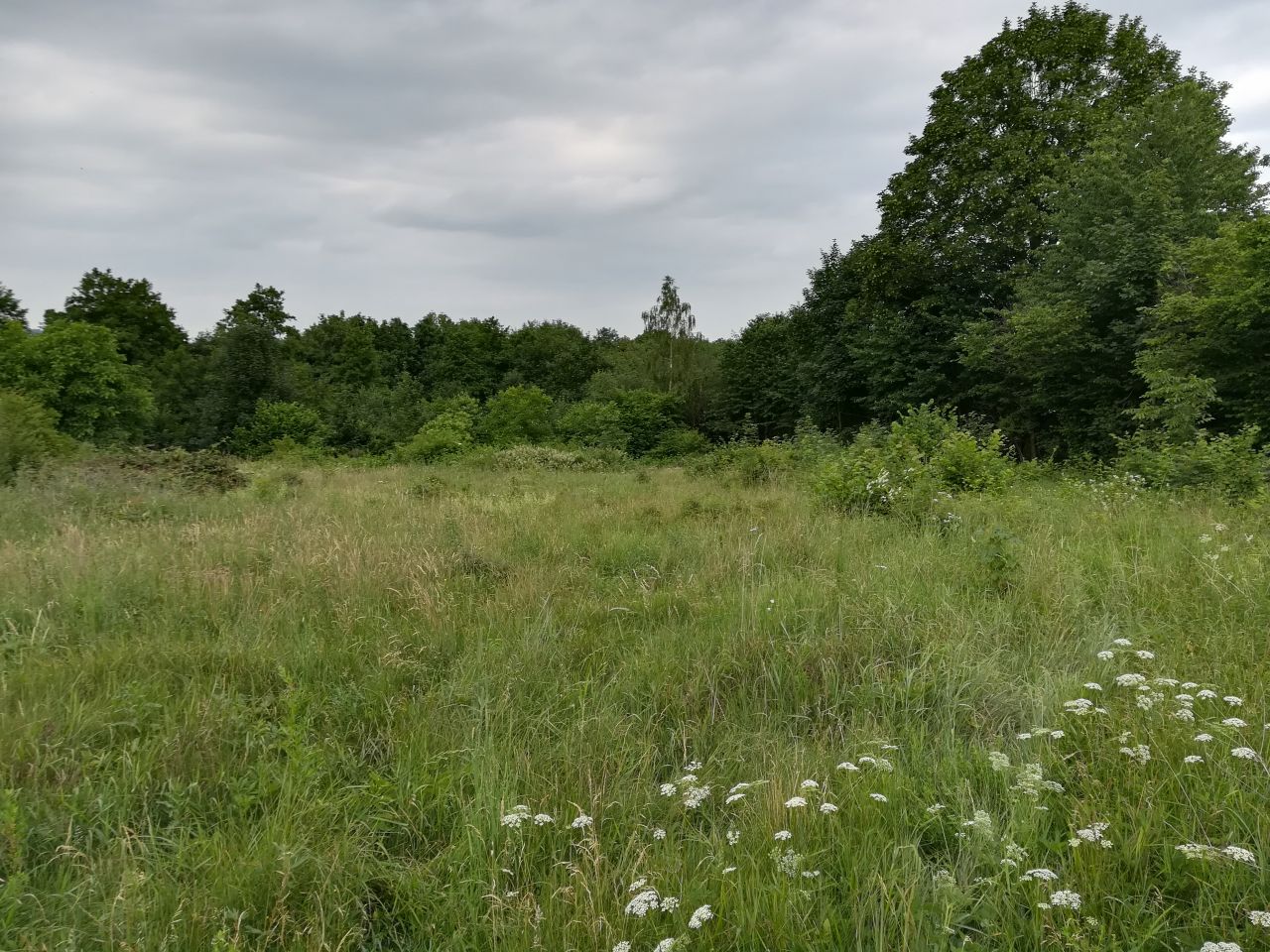 Działka budowlana Dębowina. Zdjęcie 7