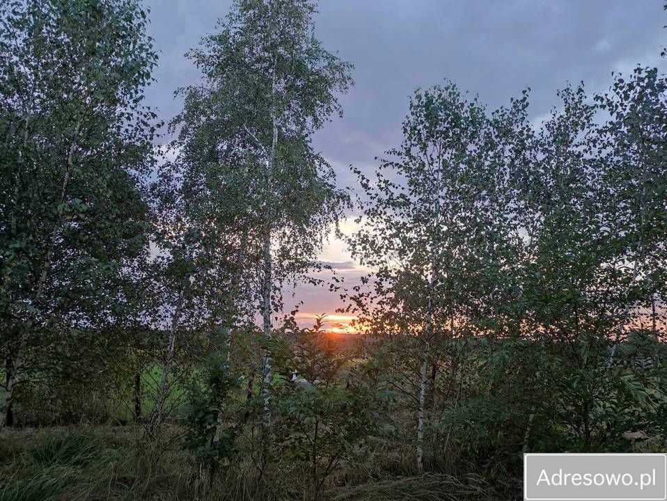 Działka budowlana Wysoka Głogowska. Zdjęcie 4