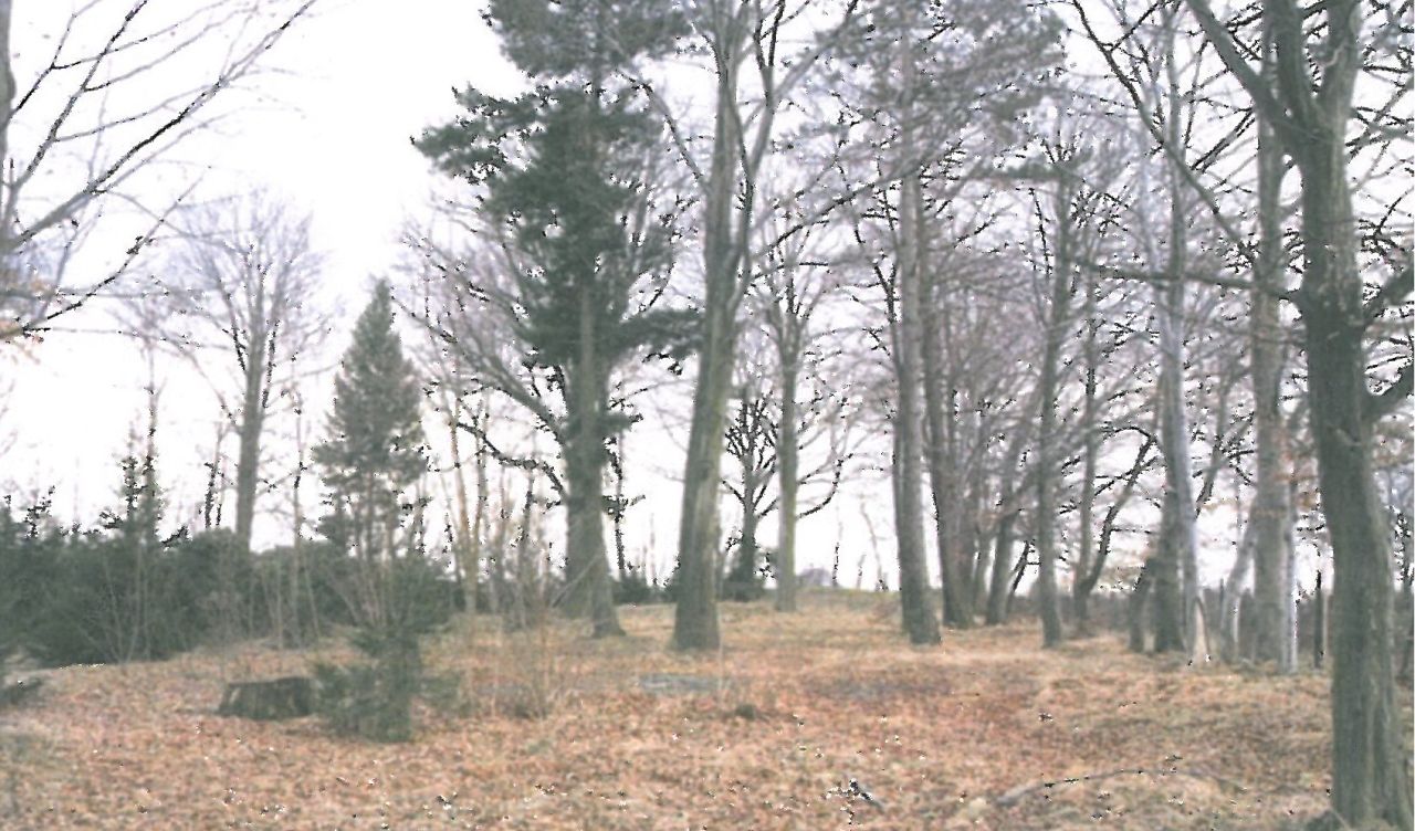 Działka inna Zawidów, ul. Zgorzelecka. Zdjęcie 6