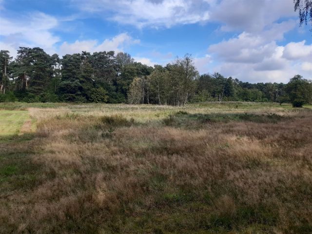 Działka rolna Barycz. Zdjęcie 2