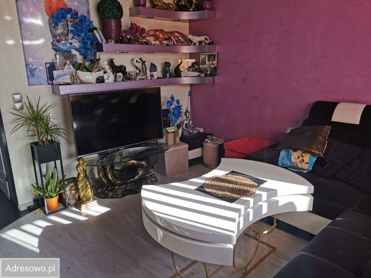 Mieszkanie 2-pokojowe Myszków, ul. Majora Sucharskiego. Zdjęcie 5