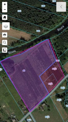 Działka rolna Zakrzew. Zdjęcie 1