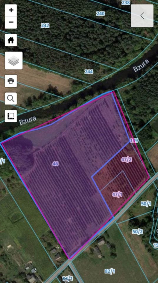 Działka rolna Zakrzew. Zdjęcie 1