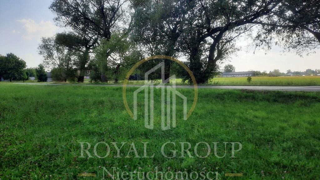 Działka rolna Rudno. Zdjęcie 2