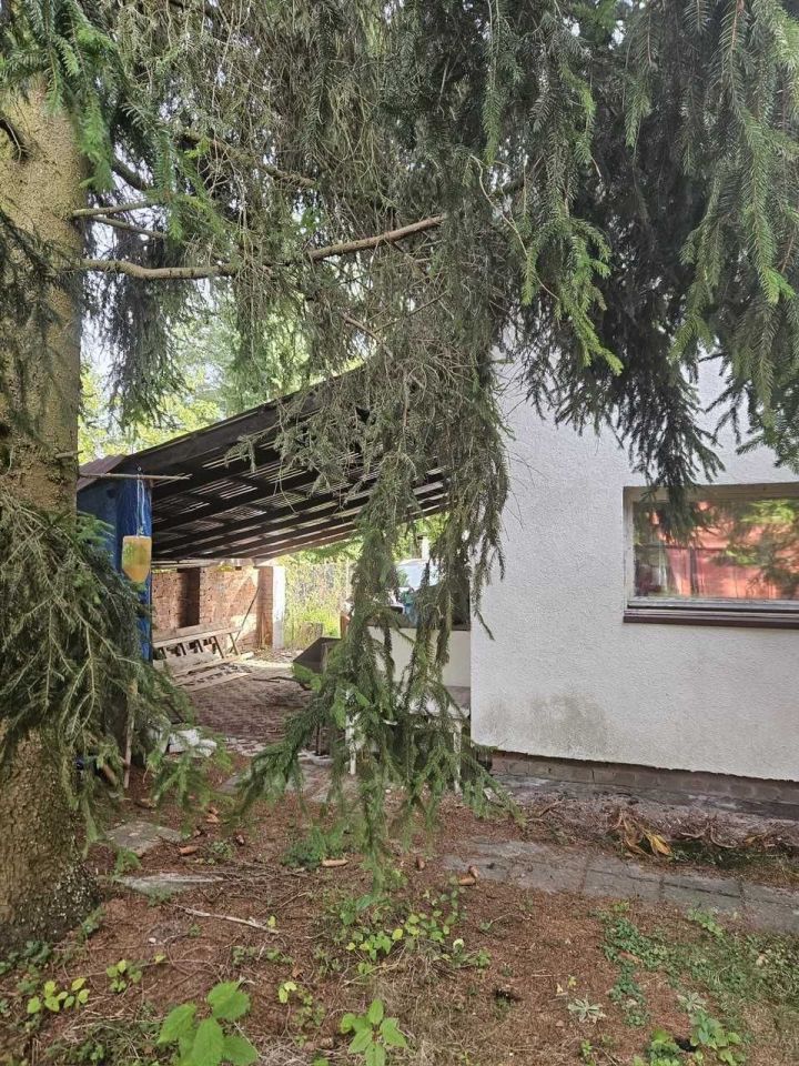 Działka rekreacyjna Krasne. Zdjęcie 4