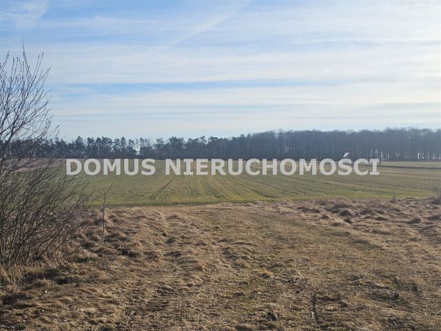 Działka Polik. Zdjęcie 3