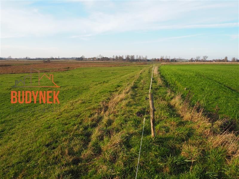 Działka rolna Krupy. Zdjęcie 13