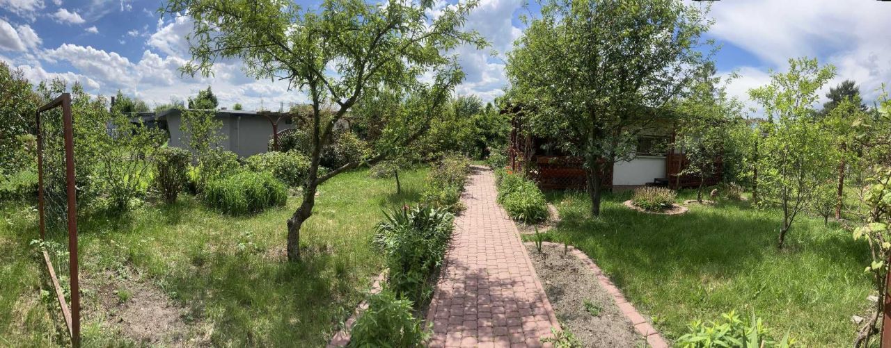 Działka rod Gliwice Kopernik, ul. Perseusza. Zdjęcie 5