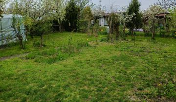 Działka rod Szprotawa