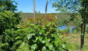 dom wolnostojący, 5 pokoi Gołubie