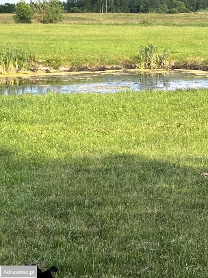 gospodarstwo, 6 pokoi Juchnajcie. Zdjęcie 17