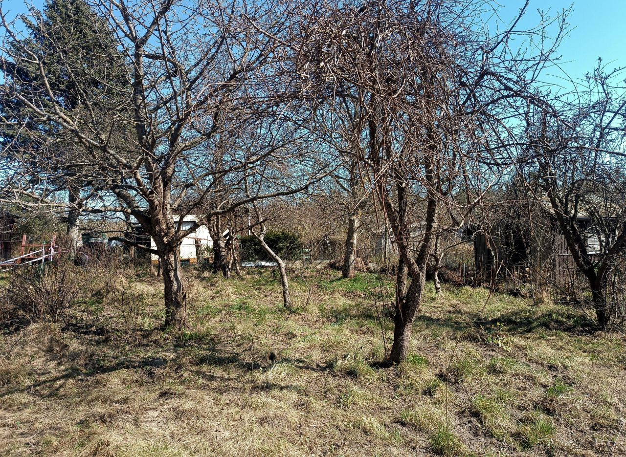 Działka rod Gdańsk Jasień, ul. mjr. Mieczysława Słabego. Zdjęcie 3