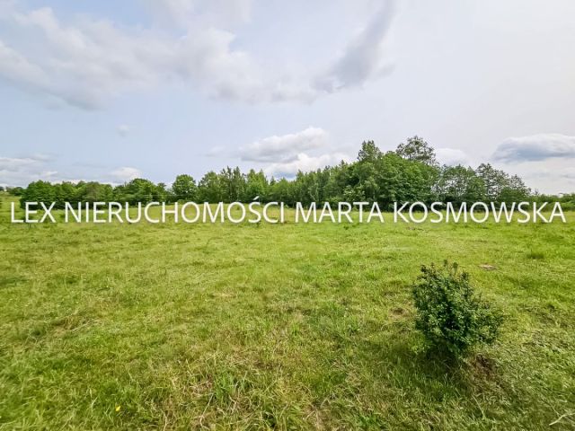 Działka rolna Wejdyki. Zdjęcie 4