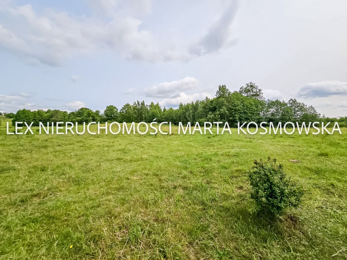 Działka rolna Wejdyki. Zdjęcie 4