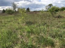 Działka rolna Czarnowo. Zdjęcie 1