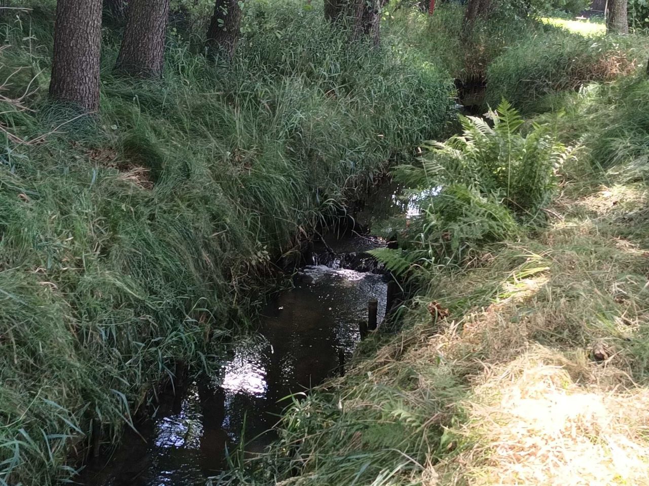 Działka rolna Rybnik. Zdjęcie 6