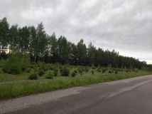 Działka budowlana Gręzówka-Kolonia. Zdjęcie 2