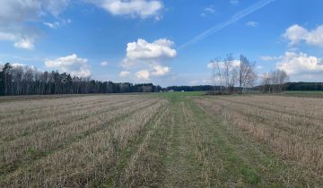 Działka budowlana Panaszew