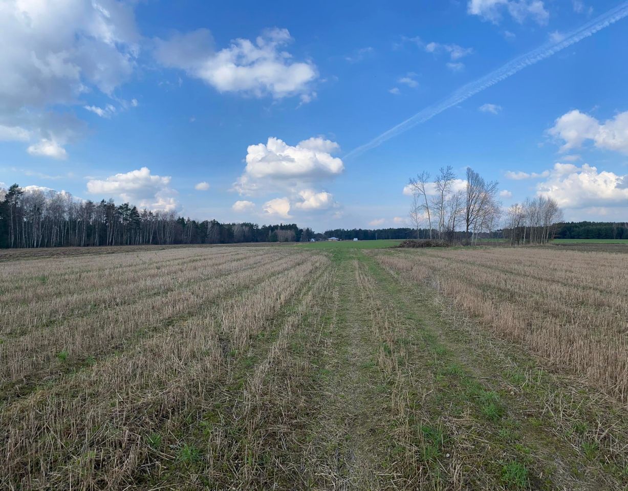 Działka budowlana Panaszew. Zdjęcie 2