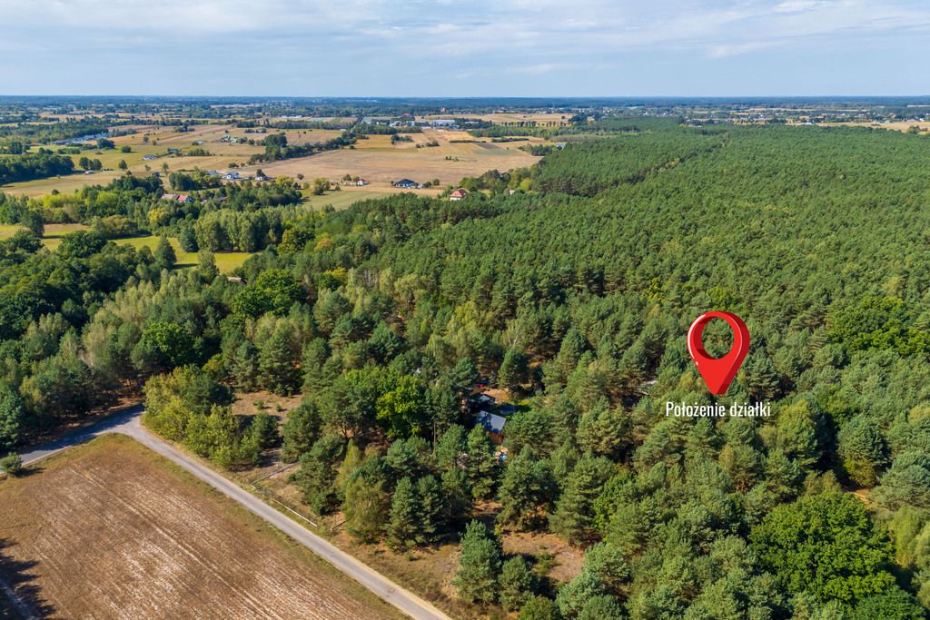 Działka rekreacyjna Sianno. Zdjęcie 3